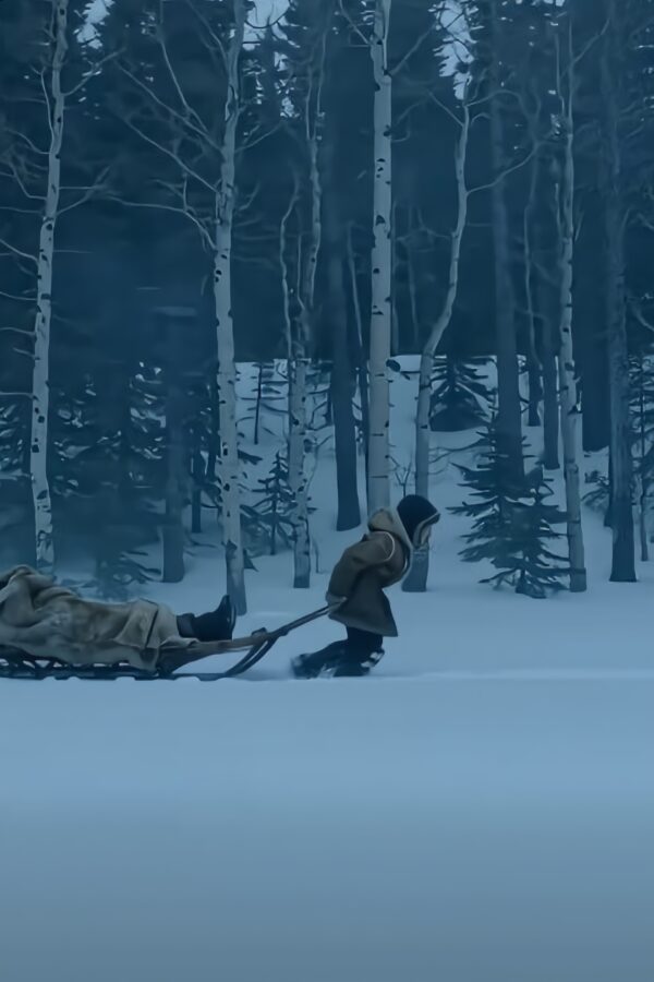 Mindössze 5 évesen Aiden egy tomboló hóviharon kelt át, hogy segítsen a nagyapján. Amit a mentők az útja végén találtak, mindenkit szóhoz sem jutottá tett..